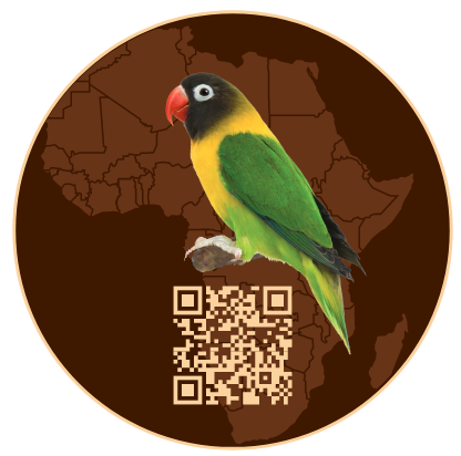 Lovebird Safaris Logo